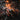 EMBERS