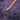 The Scent of Memory: Lavender, Rosemary & the Fragrance of Recall