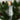 Forest Fir Room Spray