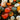 HARVEST PUMPKIN