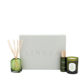 Cucumber Vine Family Gift Set