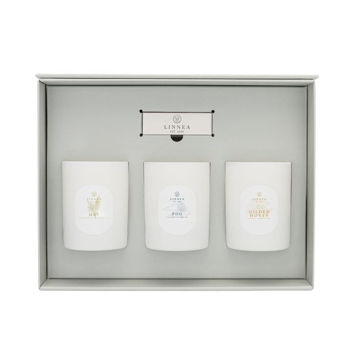 Fall 3 Large Candle Gift Set Hay, Fog, and Gilded Honey