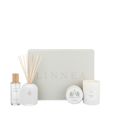 FOREST FIR GIFT SET